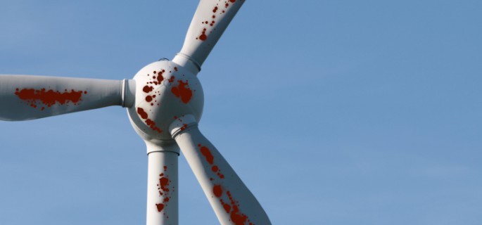 comment avoir une eolienne