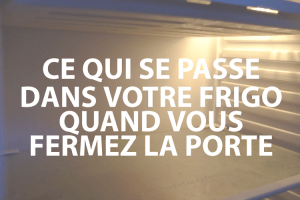 small_frigo_11