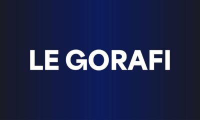 logo gorafi article