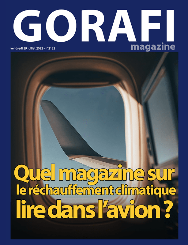 Inflation 2, le retour - Page 3 Goramag2132site