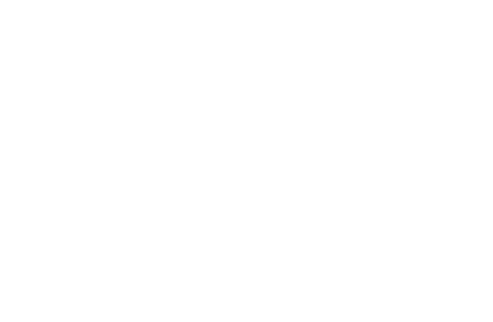 C'est Qui La Boss ?