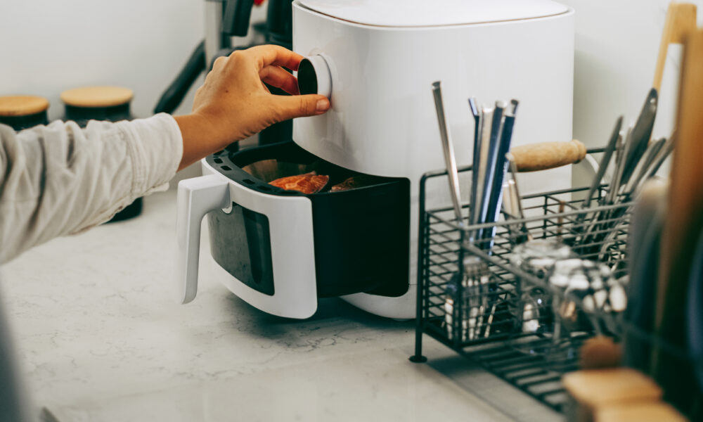 5 différences entre Ségolène Royal et un Airfryer