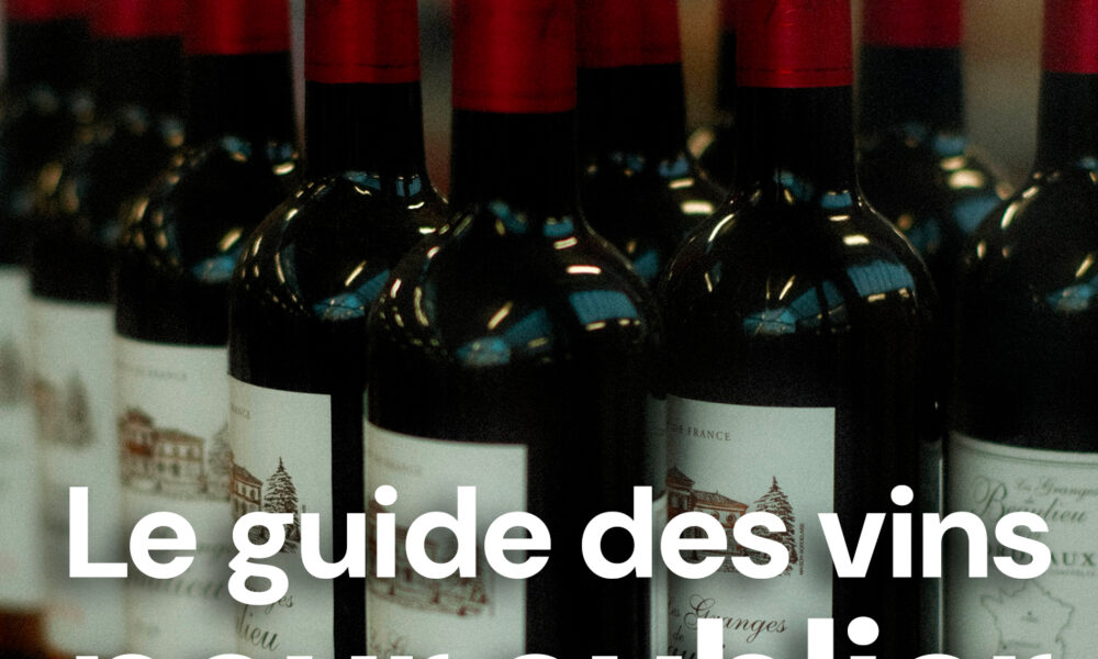 Gorafi Magazine : Le guide des vins pour oublier le capitalisme